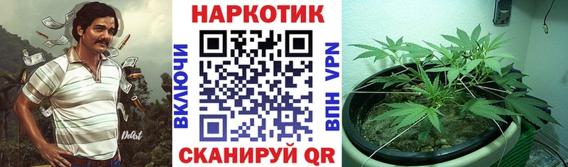 Где купить наркоту Краснообск Канабис  Кокаин  Псилоцибиновые грибы  Меф  ГАШИШ  A PVP  АМФЕТАМИН 